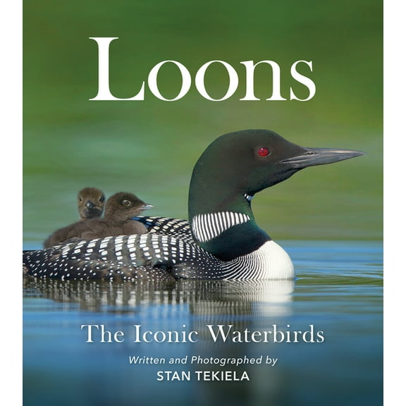 Favorite Wildlife Loons: The Iconic Waterbirds, (Paperback)