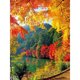 thumbnail image 1 of Cuadros Decorativos Pintura de diamantes bosque de arce taladro redondo imagen de diamantes de imitación dibujo DIY JShteea Nuevos Originales, 1 of 9