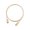 Gold, variant on 1 m USB 3.1 Generation 2 Type-C to Type-C with E-Marker IC & Support PD Function Cable, Charcoal