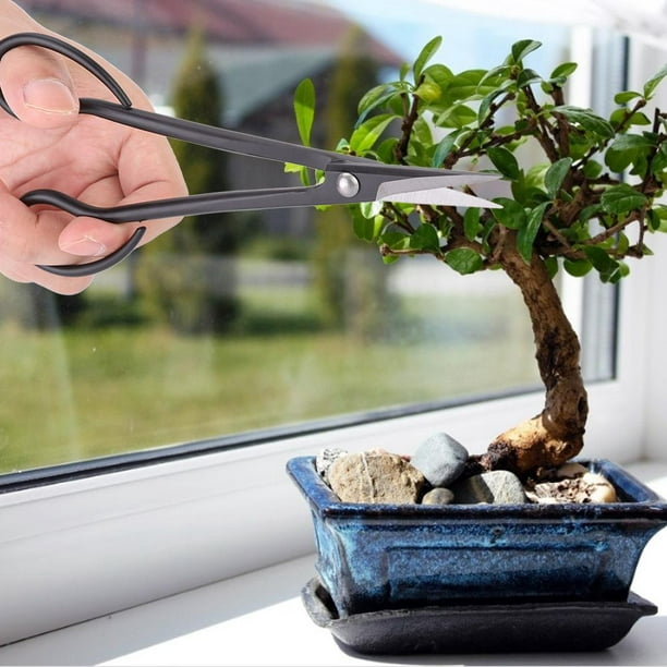 Ciseaux de jardin Garosa, coupe-branches, ciseaux à bonsaï en acier plaqué  ciseaux à bonsaï ciseaux à long manche 185 mm 