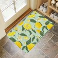 thumbnail image 2 of Lemon Fruit Linen Non-slip Floor Mat, Entryway Doormat Durable Low-Profile Mat Home Decor, Rug Washable Kitchen Bathroom Laundry Bedroom Living Room Door Mat 30x17in, 2 of 5