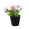 thumbnail image 1 of Whataatahia Bola de flores falsas crisantemo pequeño bonsái decoración de escritorio planta verde artificial maceta de plástico en maceta, 1 of 5