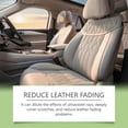 thumbnail image 6 of Powerful Auto Leather Cleaner Restorer Sprayer Suitable For Car Seat Sofa Stain Removal & Protective Shines Renewal, 6 of 9