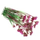 thumbnail image 1 of Simulation Plastic Vivid Artificial Coral Plant, Non- Toxic 23.62 Inch Height Water Plant Ornament Aquarium Ornament Plastic Coral, For Fish Tank Aquaridum ANGGREK No, 1 of 7