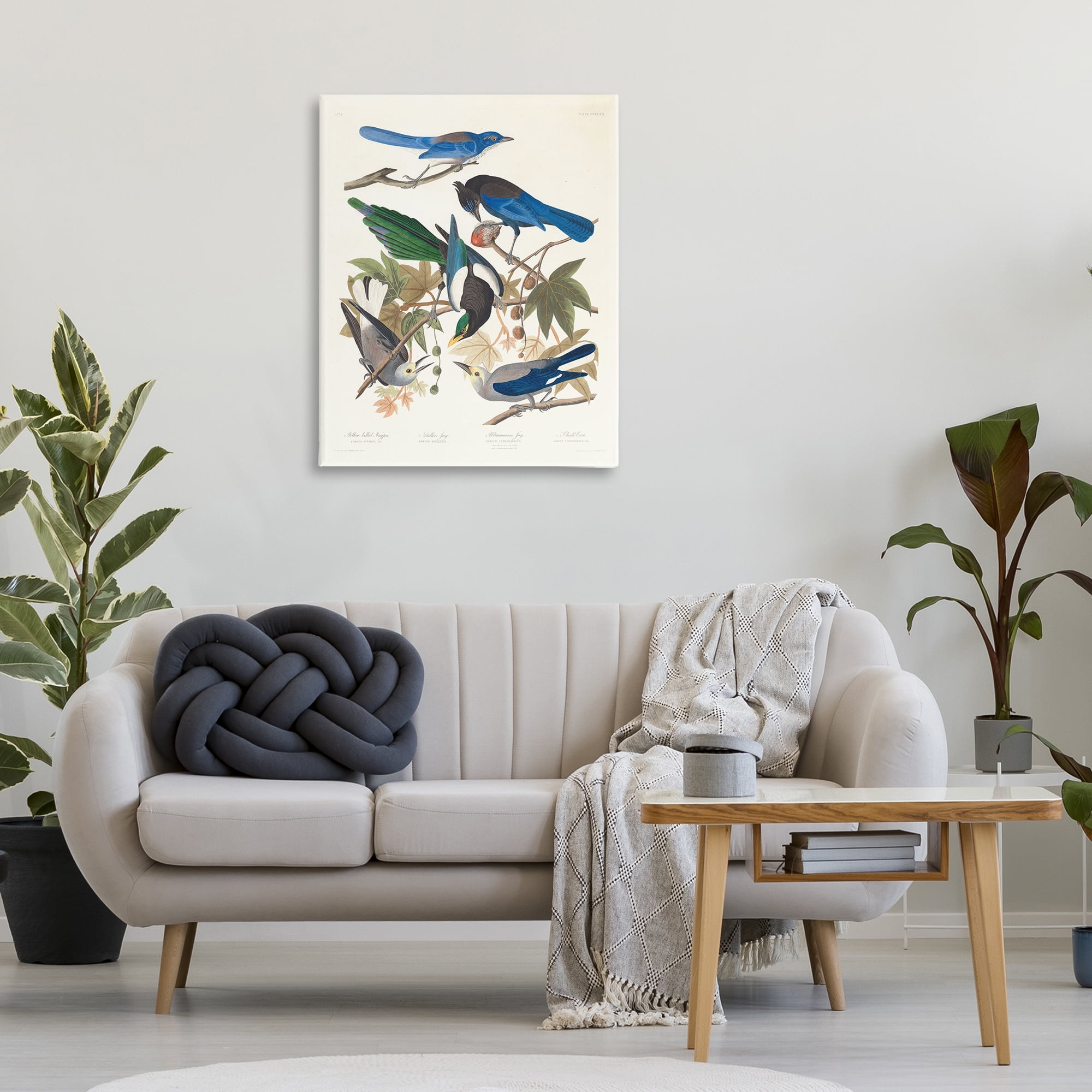 Stupell Industries Classic Yellow Billed Magpie Animals Painting Wrapped Canvas Art Print Wall Art, 30 x 40