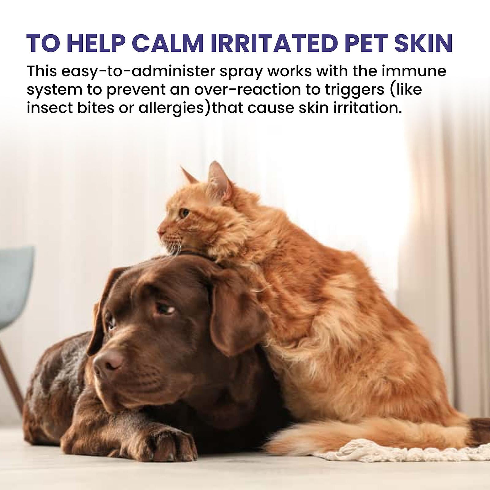 Anti itch spray for dogs walmart hotsell