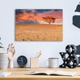 thumbnail image 4 of Epic Art 'Sahara Desert Beauty' by Mark A Paulda, Acrylic Glass Wall Art, 16"x12", 4 of 8