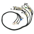 thumbnail image 4 of B/D Series Tucked Engine Harness for Honda Civic Integra B16 B18 D16 OBD1 1992-1995, 4 of 8
