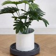 thumbnail image 3 of Durable Flowerpot Base Tray Plastic Removable Roller Plate Support Universal with Hidden Wheel Plant Care Yard Base Tray, 3 of 5