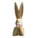 thumbnail image 3 of Adorno de resina de conejo para jardín | Escultura artesanal de conejo marrón para decoración de exteriores e interiores | Decoración de primavera y Pascua para el hogar, 3 of 6