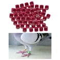 thumbnail image 1 of Paquete de 100 2022 de anillos de piezaza de de carreras de aluminio de 8 mm para polluelos de aves de corral Bantam Quail - Rosa, 1 of 7