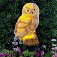 thumbnail image 4 of Owl Garden Stake, Solar Lights Outdoor Decorative Resin Owl Solar LED Lights with Stick for Garden Lawn Pathway Yard Decorations, 4 of 8
