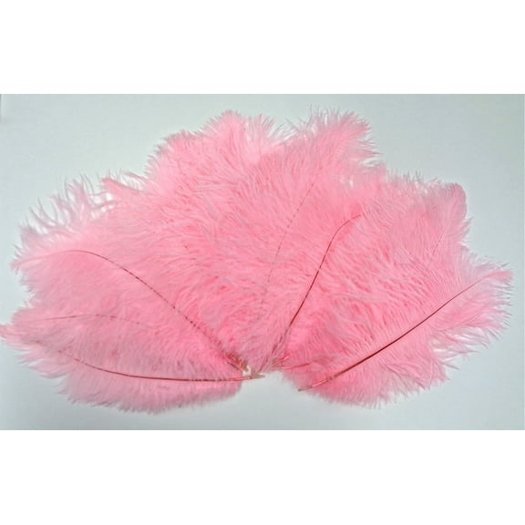 Candy Pink Ostrich Feather 8-12 inch size per Six (6)