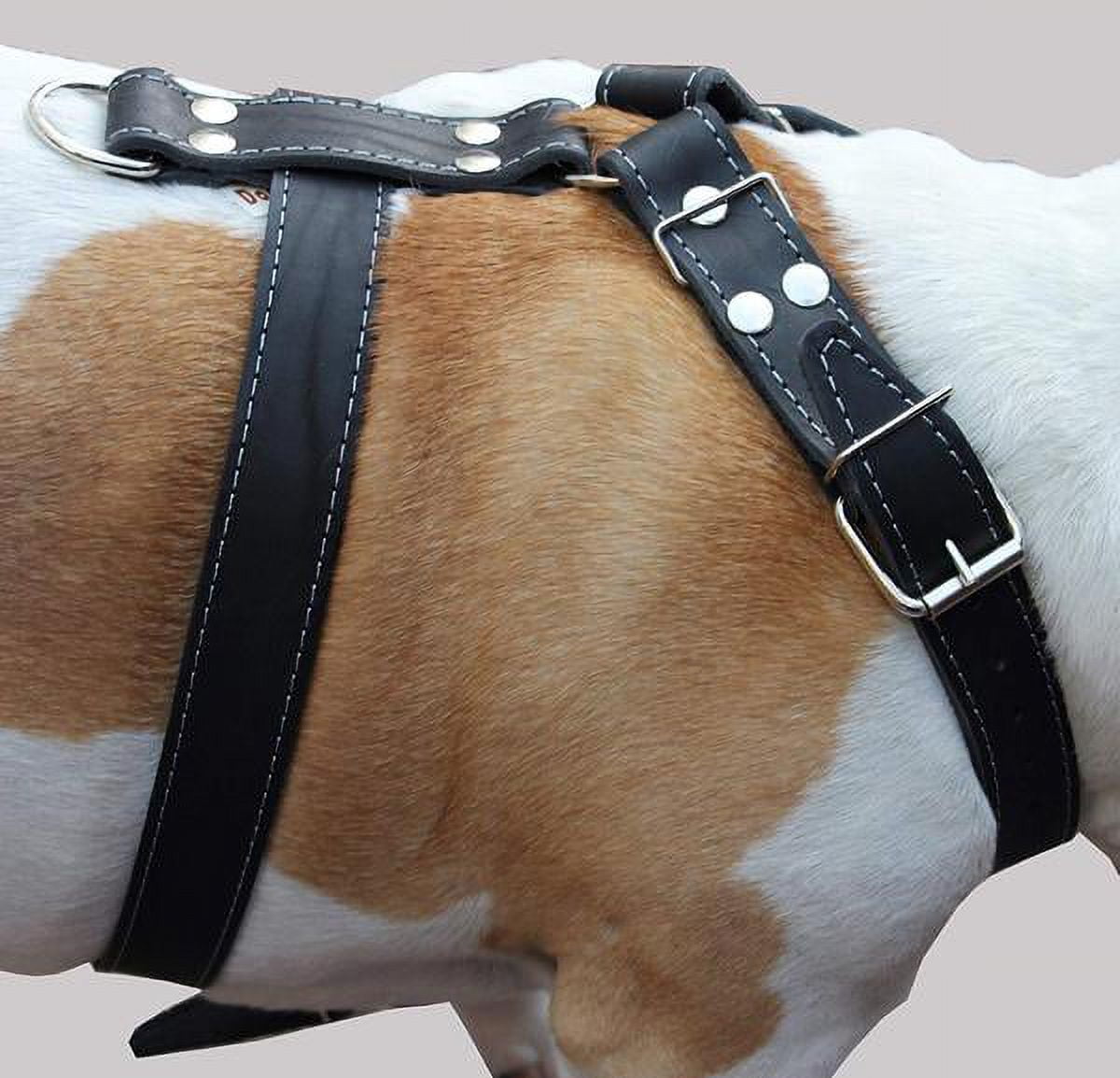 Black Genuine Leather Dog Harness Large. 30-35 Chest, 1.5 Wide Straps Pitbull, Boxer