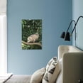 thumbnail image 2 of Opossum in Tree, Animals Unframed Photographic Print Wall Art by DLILLC Sold by ArtCom, 2 of 4