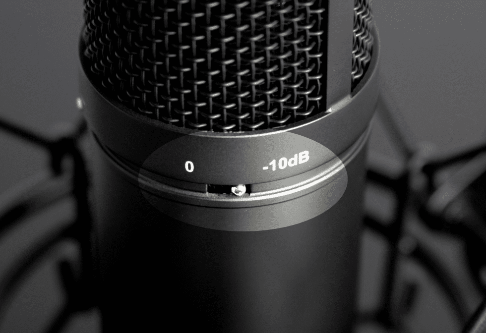Tascam TM-280 Studio Microphone with Flight Case