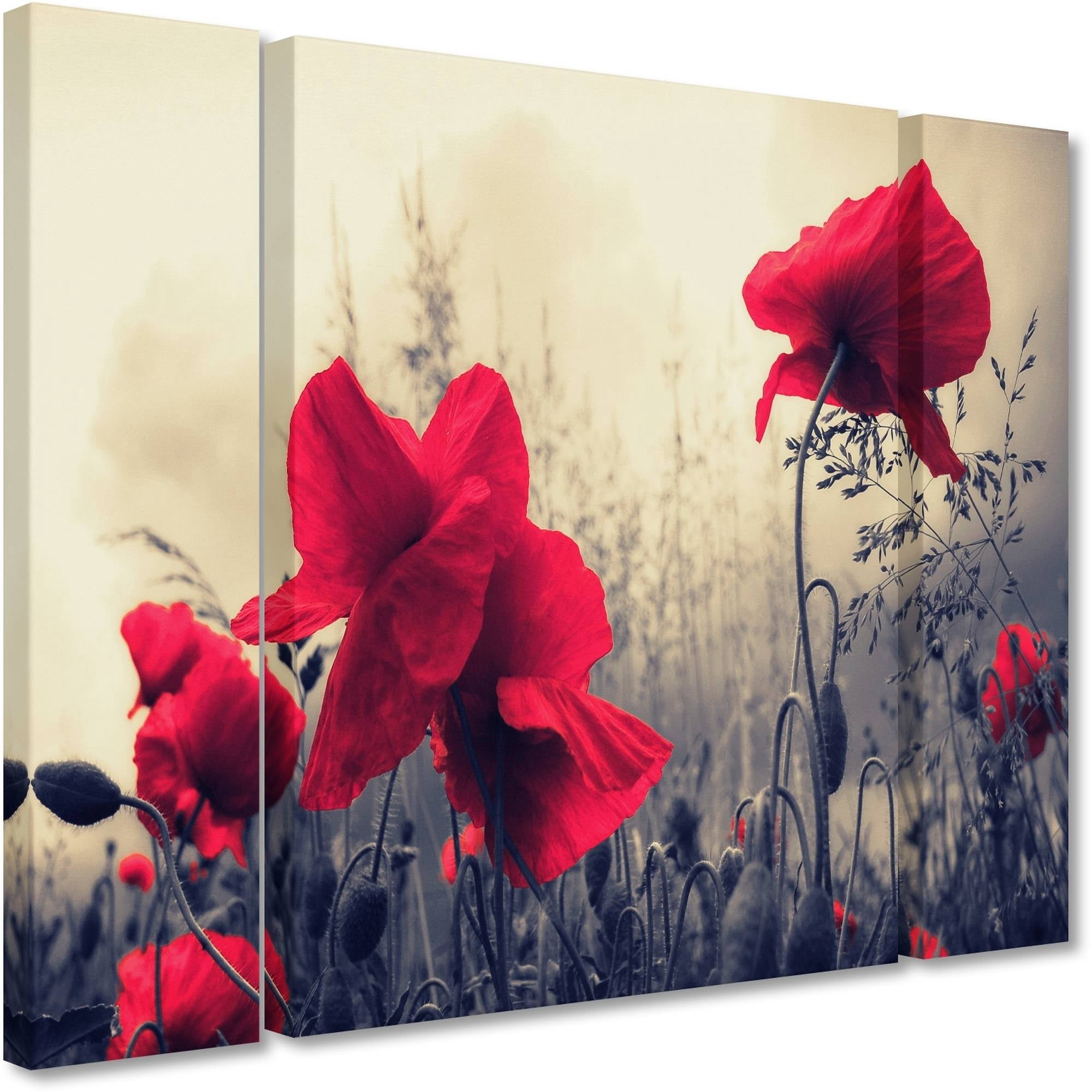 Trademark Fine Art "Red For Love" Canvas Art by Philippe Sainte-Laudy Three Panel Set