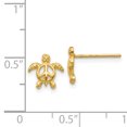 thumbnail image 3 of 14k Yellow Gold Peace Sea Turtle Stud Earrings Ball Button Animal Reptile, 3 of 7