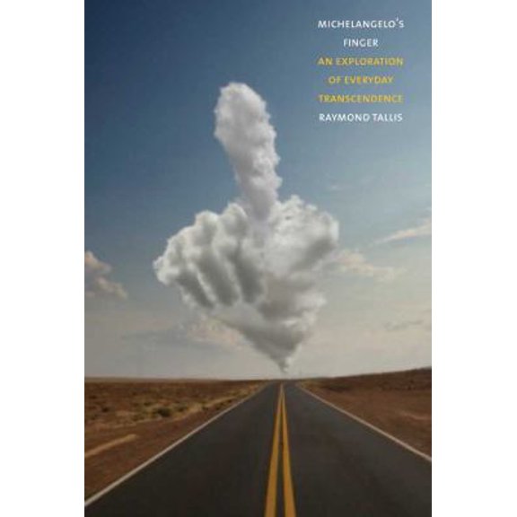 Pre-Owned Michelangelo's Finger: An Exploration of Everyday Transcendence (Hardcover) 0300166486 9780300166484