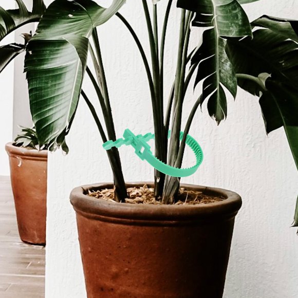 WHAMVOX 8Ud De Soporte Para Árboles En Jardín Color Oscuro Resistentes Y Antideslizantes