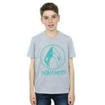 thumbnail image 2 of DC Comics Boys Aquaman Aqua Logo T-Shirt, 2 of 3