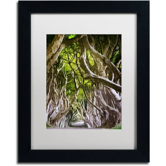 Trademark Fine Art "King of the Woods" Canvas Art by Philippe Sainte-Laudy, White Matte, Black Frame
