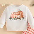 thumbnail image 4 of NOLDARES Toddler Baby Girl Clothes Outfits Long Sleeve Crewneck Sweatshirt and Joggers Pants 2 Piece Set Fall Winter(Orange,18-24 M), 4 of 4