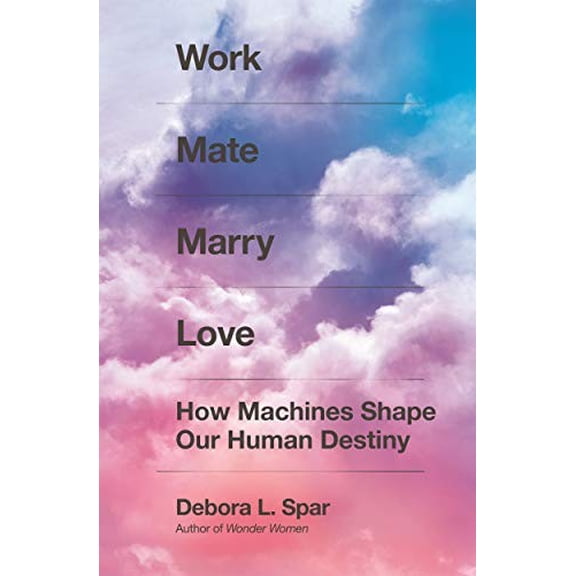 Pre-Owned Work Mate Marry Love: How Machines Shape Our Human Destiny (Hardcover) 0374200033 9780374200039