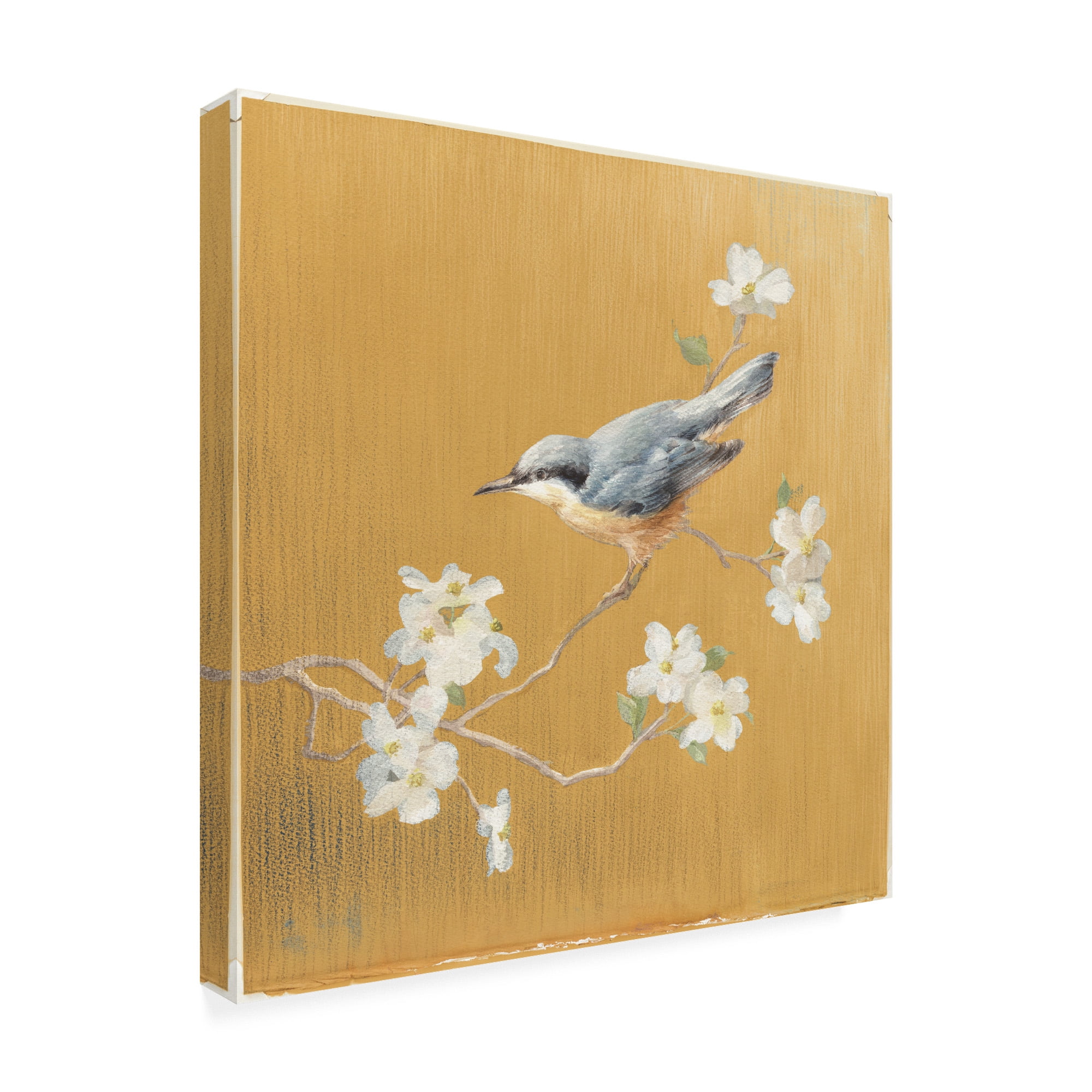 Trademark Fine Art 'Nuthatch on Gold' Canvas Art by Danhui Nai