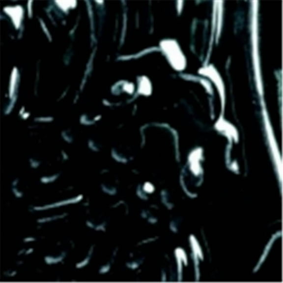 Amaco LG-2 Lead Free Non Toxic Glaze & 1 Pint Plastic Jar - Black Luster