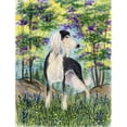 thumbnail image 1 of Carolines Treasures SS8200GF Saluki Flag - Garden Size, 1 of 3