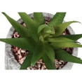 thumbnail image 4 of Artificial Plant - 6" Tall - Indoor - Table - Potted - Set Of 2 - Green Leaves, 4 of 7
