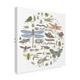 thumbnail image 2 of Trademark Fine Art 'Insect Circle I Bright' Canvas Art by Wild Apple Portfolio, 2 of 4