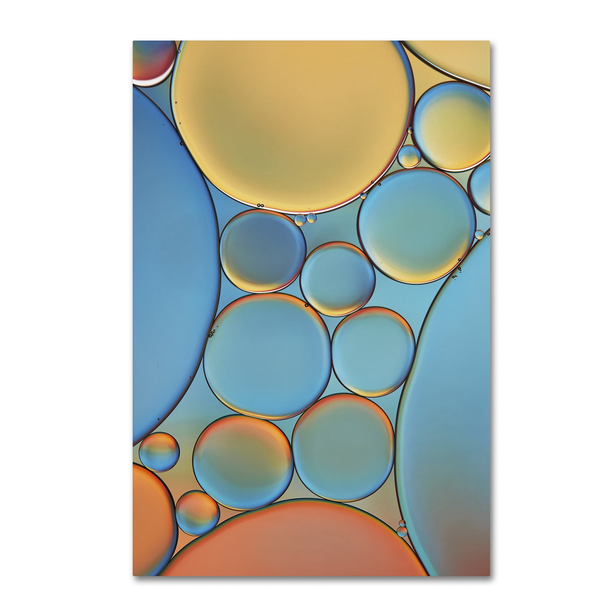 Trademark Fine Art 'Blue and Apricot Drops' Canvas Art by Cora Niele