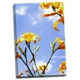 thumbnail image 2 of Gango Home Decor Daylilies by Alan Hausenflock (Ready to Hang); One 24x36in Hand-Stretched Canvas, 2 of 4