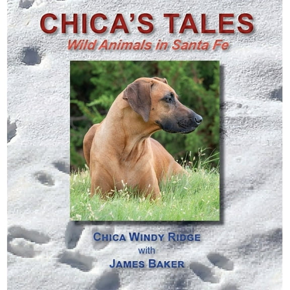 Chica's Tales: Wild Animals in Santa Fe, (Hardcover)