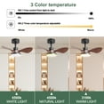 thumbnail image 3 of 24" Black Small Ceiling Fan with Light Remote Control,Modern Low Profile Ceiling Fan,6-Speeds Quiet Reversible Dc Motor for Bedroom,Kitchen,Black+Brown Abs+Steel(Q235) Electrical Appliances Fans, 3 of 7