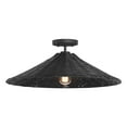 thumbnail image 3 of 1-Light Ceiling Light in Matte Black, 3 of 4