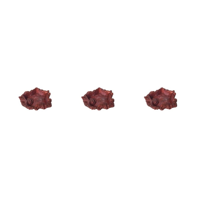 Electronicheart 1/2/3/5 Reptile Animaux Nourriture Eau Bol Simulation Lavable Réutilisable Antidérapant Inodore Universel Insectes Bols d'Alimentation Type 1 3PCS