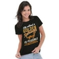 thumbnail image 3 of Life with a Golden Retriever Dog Womens Fitted Plus Size Graphic Tee Brisco Brands 2X, 3 of 5