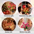 thumbnail image 5 of Rirool 2-Pack Red Solar Rose Flower Garden Stake Lights, 7 Heads Outdoor Waterproof Decorative Lights with 8 Modes, Auto On/Off Warm White LED for Yard Lawn Patio Pathway Decor, 5 of 8