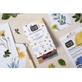 thumbnail image 2 of Viviva Watercolor Paint Colorsheets, 16 Spring Colors, 2 of 7
