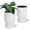 White, variant on Gaderth Planters Set of 2, Self-Watering Plant Pots with Drainage, Water Level Monitor & Wheels,14.2" Tall Flower Pots for Patio, Porch, Living Room, Home Office