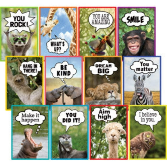 Teacher Created Resources Go Wild Animals 15.75" x 11" Small Poster Pack 12 Posters/Set (TCR6824)
