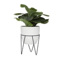 thumbnail image 6 of DecMode 19" Artificial Pilea Plant in Realistic Leaves and Metal Stand and White Pot, 6 of 9