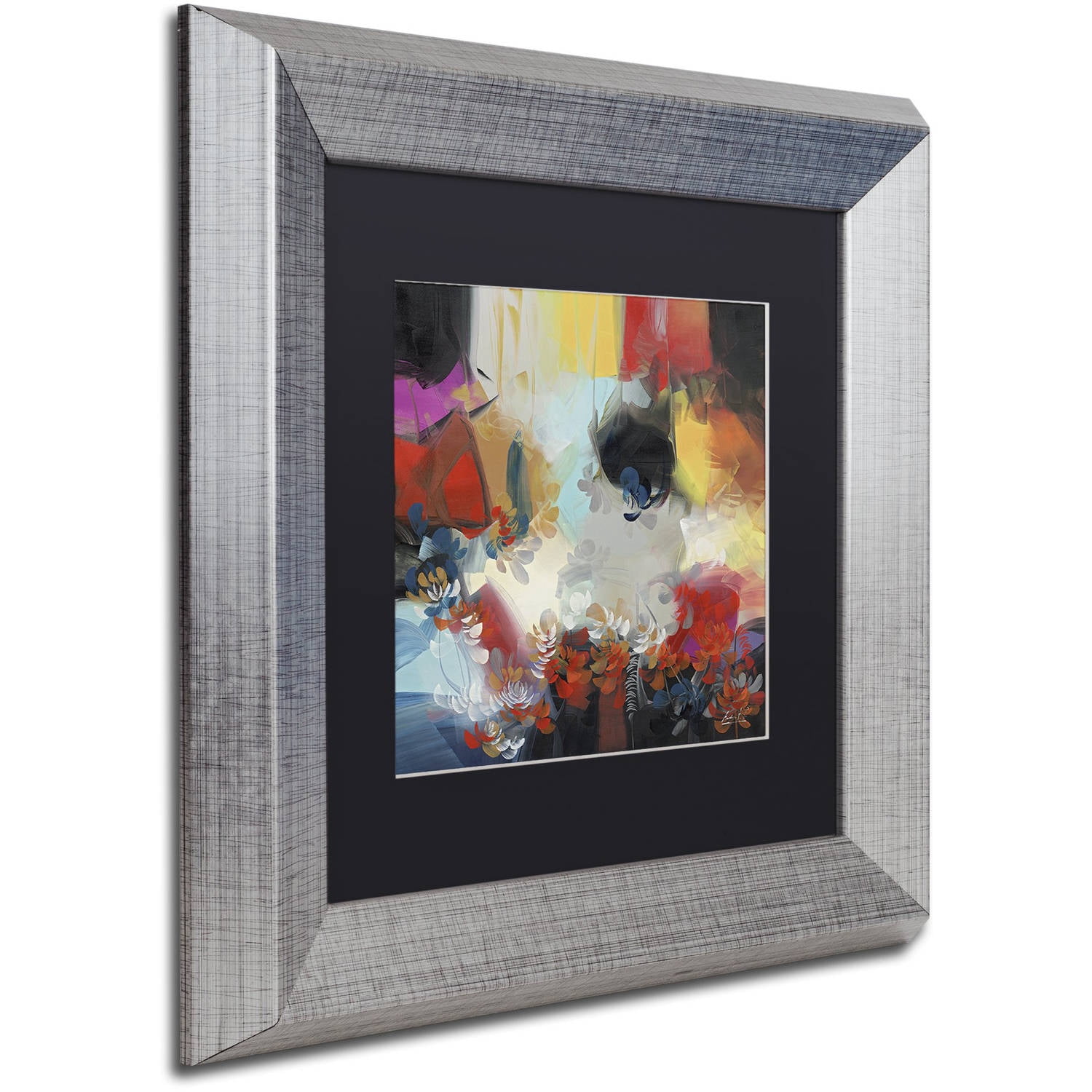 Trademark Fine Art "Spectrum" Canvas Art by Masters Fine Art, Black Matte, Silver Frame