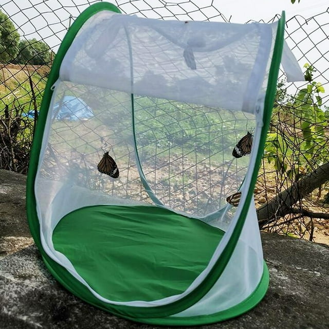 Neinkie Insectes Cage Pliable Facile à Transporter Vert Insectes Maille Cage Terrarium pour Jardin