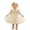 WenDA03_Yellow, variant on WEIWEN Flower Girl Dress for Wedding Baby Toddler Girls Lace Short Sleeve Embroidered 1st Birthday Party Graduation Ceremony Pageant Dresses Yellow, 3-6 Months