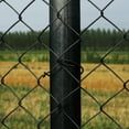ALEKO 6X50 ft Chain Link Fence Kit, PVC Coated Steel, Black, Height
