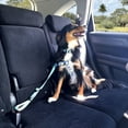 thumbnail image 2 of Pawtitas Dog Seat Belt Pet Safety Seat Belt Adjustable Strap for Small to Large Dogs Teal, 2 of 8